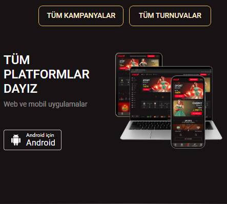 Tablet, akıllı telefon ve bilgisayarda uygulama giriş adımlarının kolaylık düzeylerinin sunumu